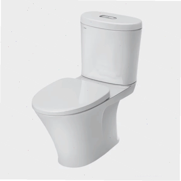 Bồn cầu 2 khối