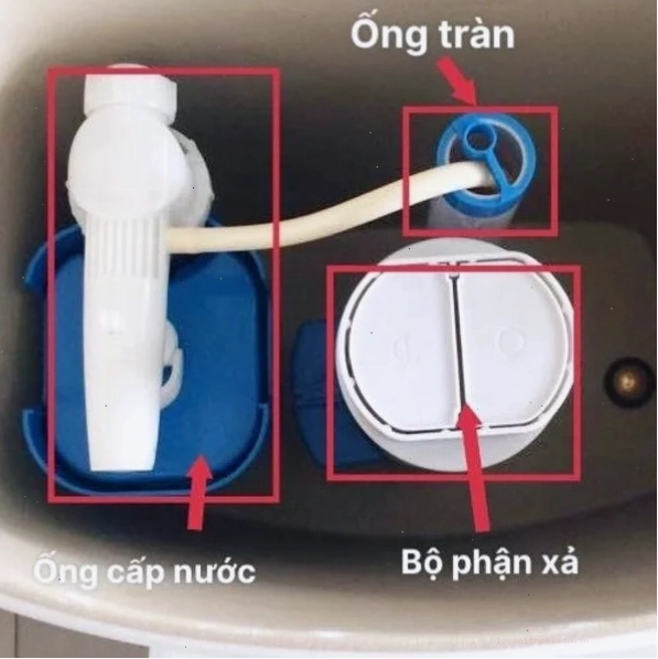 Cách sửa bồn cầu: Bộ phận bên trong két nước