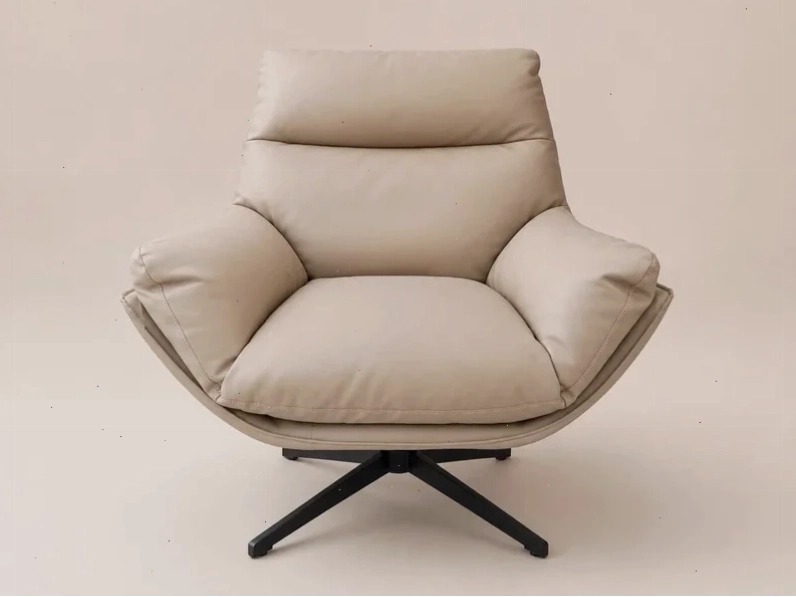 Ghế Thư Giãn FJORD Phong Cách Hiện Đại SY-068