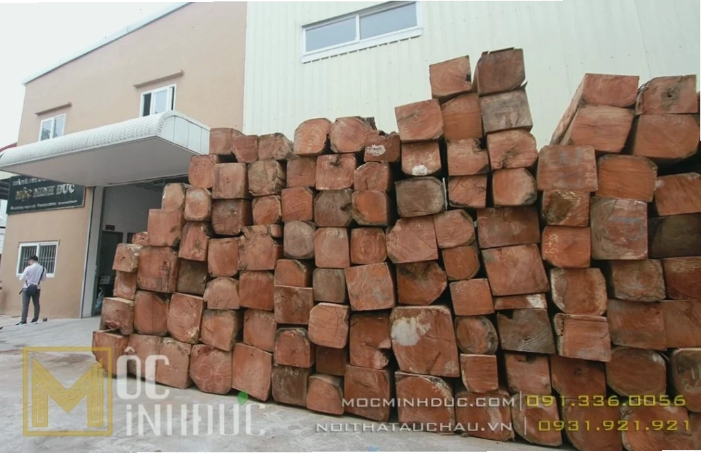 Hình ảnh tập kết gỗ gõ đỏ tại Mộc Minh Đức