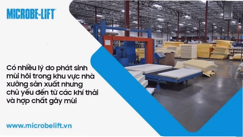 Nhiều lý do phát sinh mùi hôi trong khu vực nhà xưởng sản xuất nhưng chủ yếu đến từ các khí thải và hợp chất gây mùi