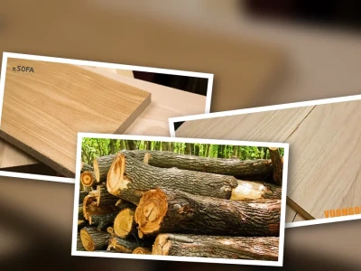Gỗ Sồi Nga Có Tốt Không? Phân Tích Chuyên Sâu & Lời Khuyên Từ Chuyên Gia
