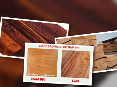 Khám Phá Gỗ Gõ Đỏ Nam Phi Loại Nào Tốt Nhất Hiện Nay