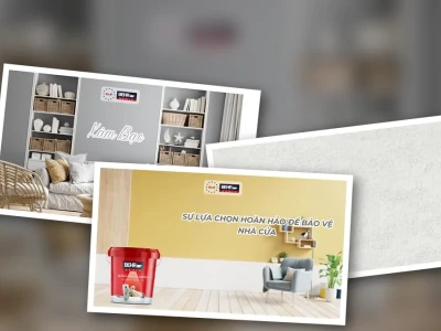 Màu Sơn Bả Đẹp Hé Lộ Bí Mật Thi Công, Chuyên Gia Phản Biện Sai Lầm?