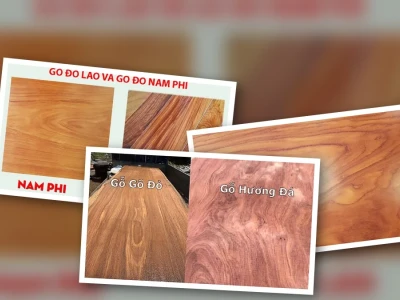 Phân biệt Gỗ Gõ Đỏ: Sự thật Đằng Sau Vẻ Đẹp Quý Hiếm