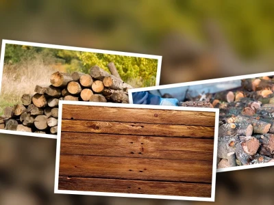 Quy Trình Xử Lý Gỗ Tự Nhiên Chuẩn và Tiết Kiệm Nhất