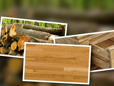 Ứng Dụng Gỗ Sồi Nga Các Mẫu Đẹp Giá Tốt 2026