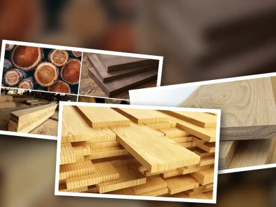 Ưu Điểm Gỗ Tự Nhiên Bạn Chưa Từng Biết Đến và Sự Thật Trái Ngược